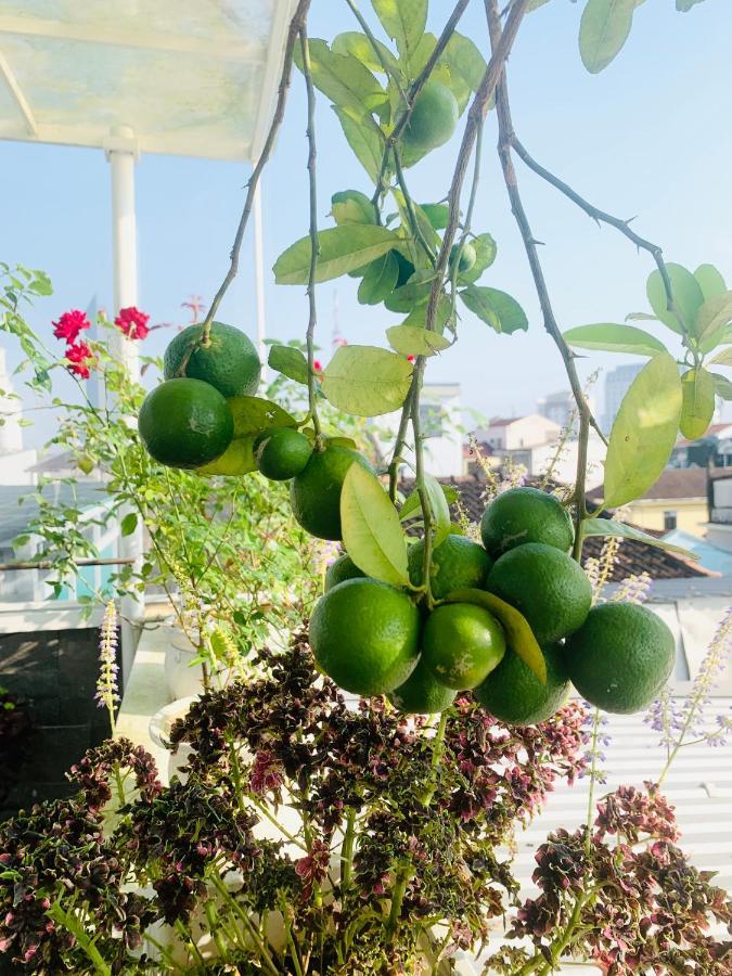 Nana Homestay & Villa Hue Exterior photo
